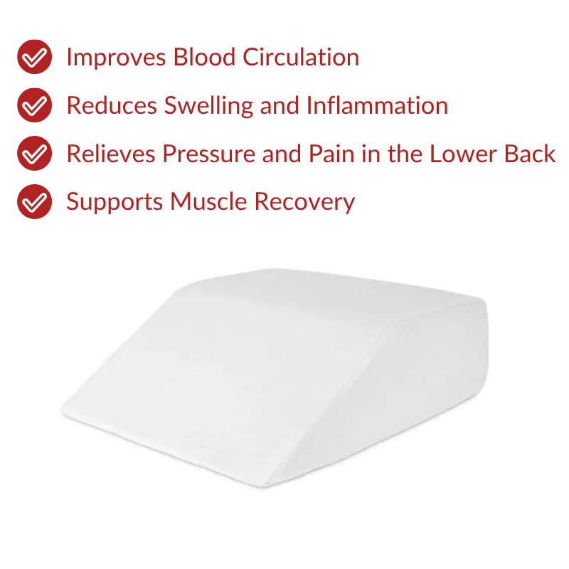 BodyForge™ - Premium Bundle
